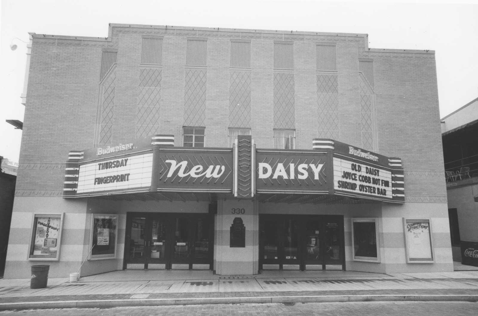 Mew Daisy, Memphis TN Mew Daisy, Memphis TN